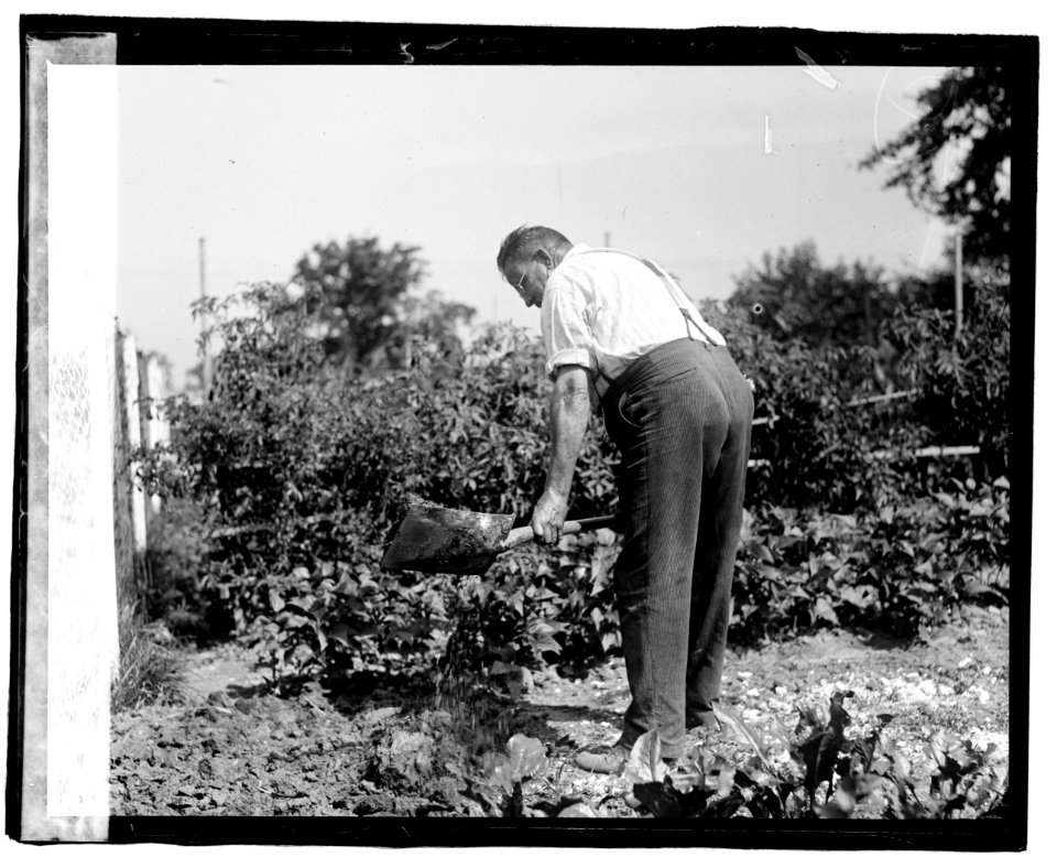County Garden LCCN2016819752