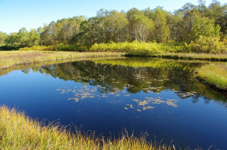 Nature reflection water