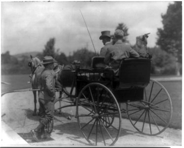 Couple in horse-drawn carriage, Henry van Dyke standing by LCCN2016648639
