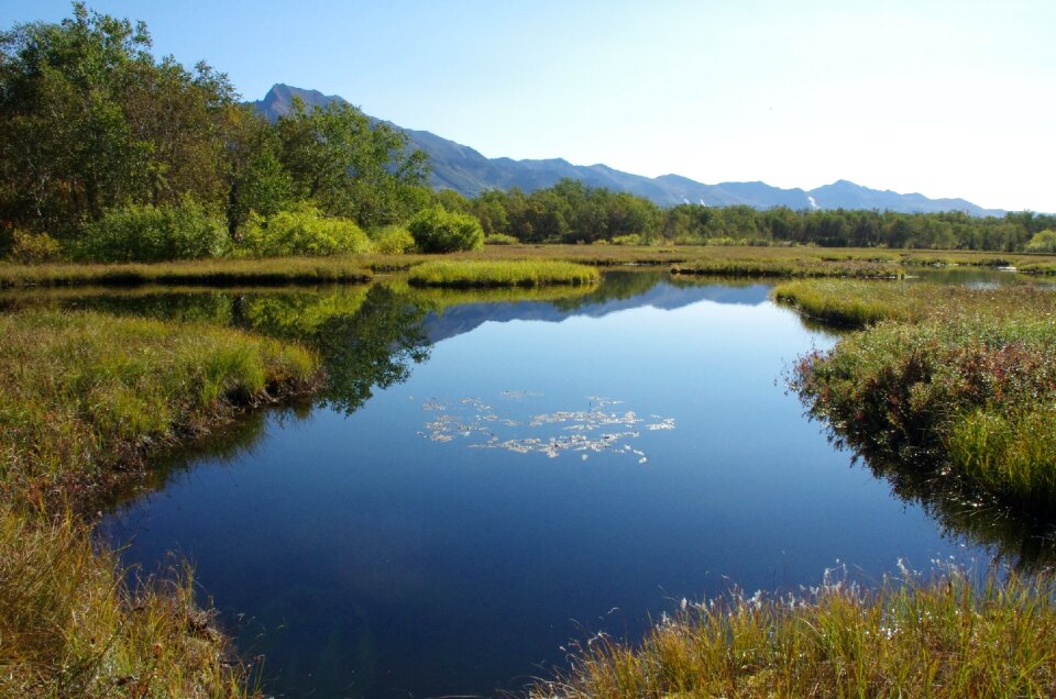 Nature reflection water photo