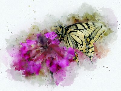 Flower summer dovetail