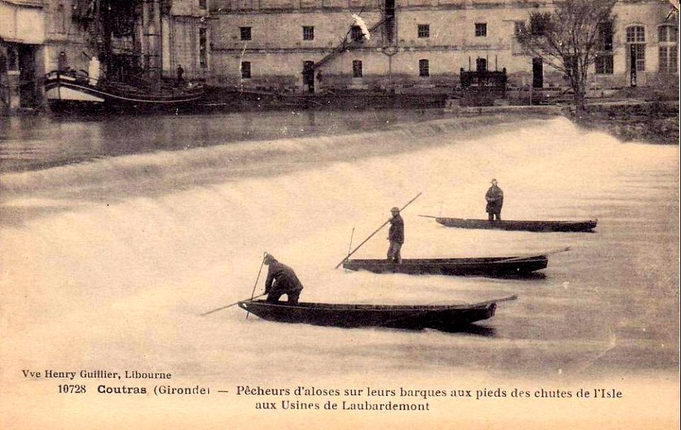 Coutras - Pêcheurs d'aloses