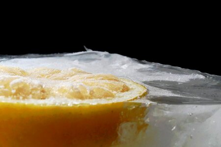 Ice cubes summer citrus fruits