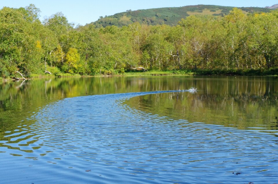 Nature reflection water
