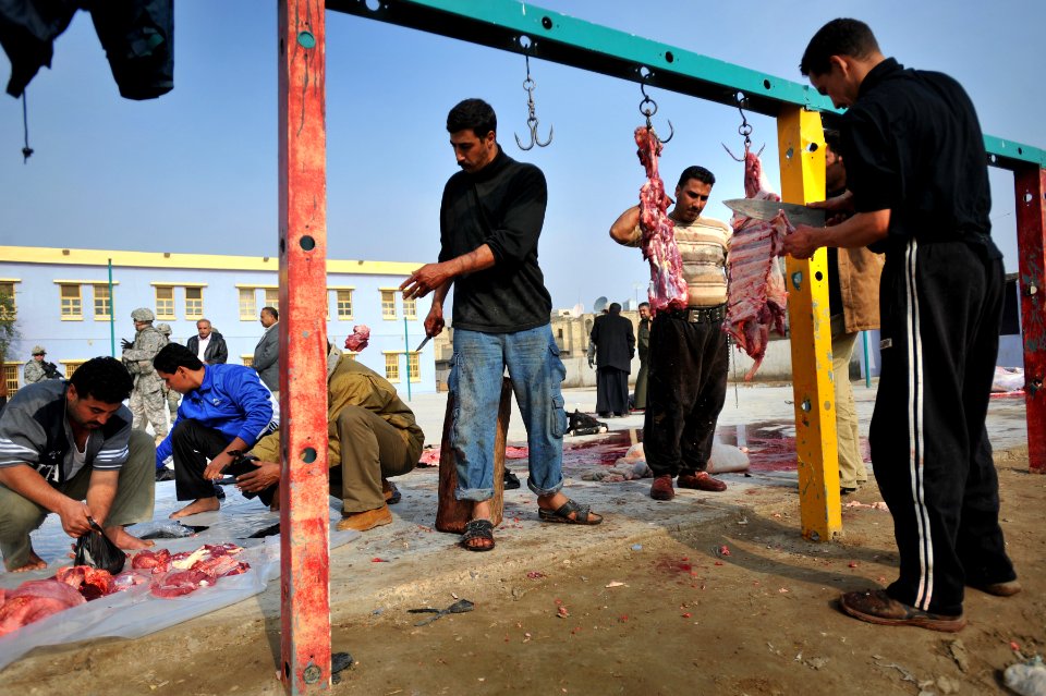 Cow donation in Baghdad DVIDS138414