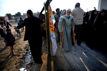 Cow Donation in Baghdad DVIDS138386
