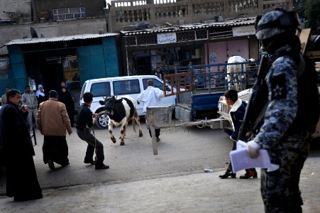 Cow donation in Baghdad DVIDS138409
