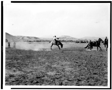 Cowboy riding bronco while other cowboys look on LCCN92501323