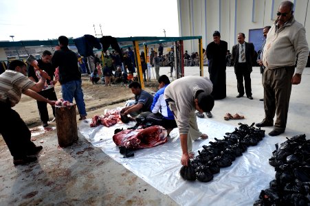 Cow donation in Baghdad DVIDS138425