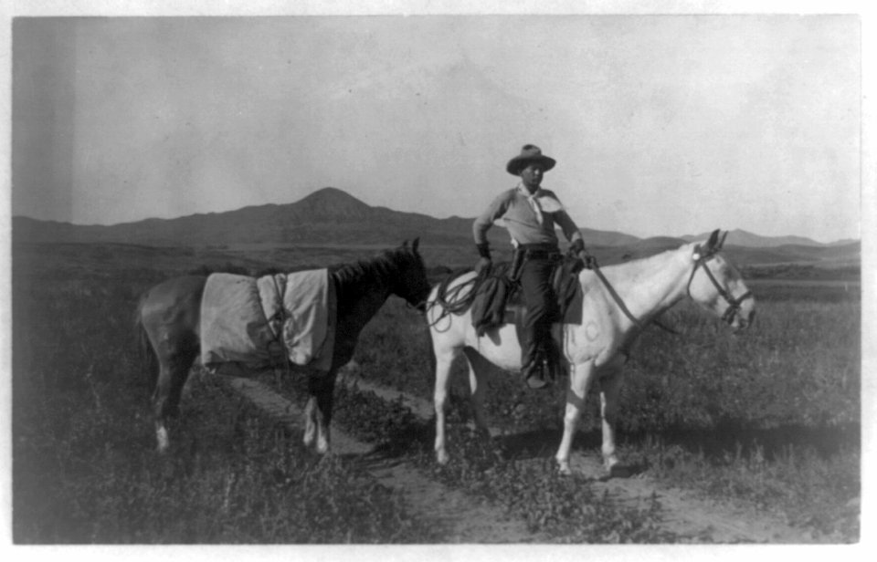 Cowboy looking for a job LCCN90706225