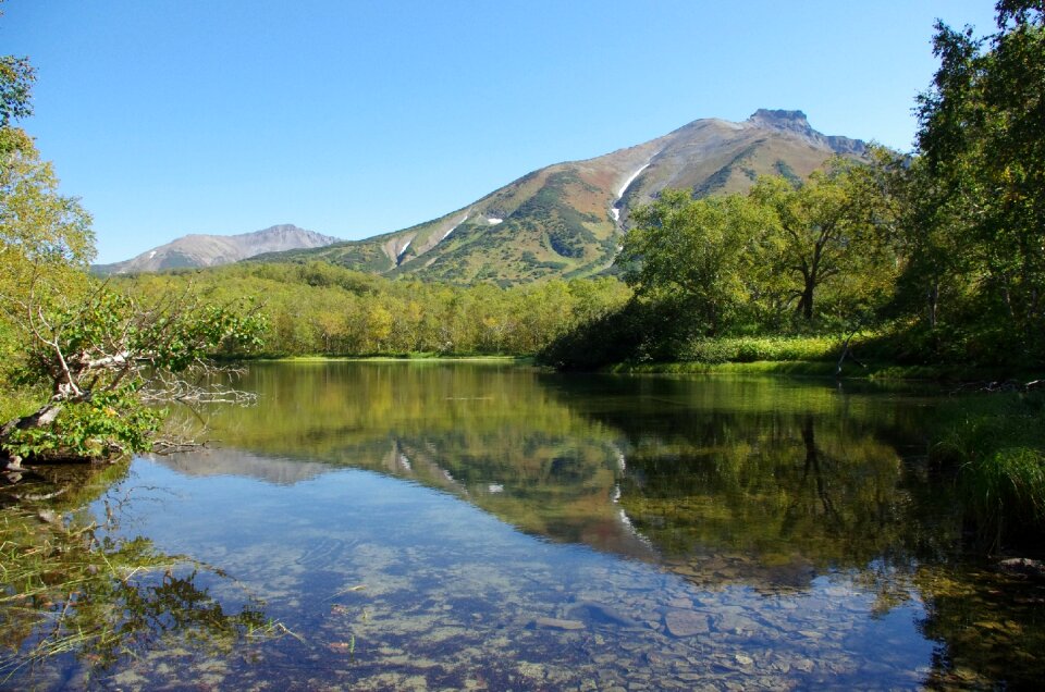 Nature reflection water