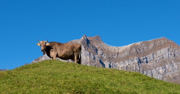 Canton of glarus switzerland landscape