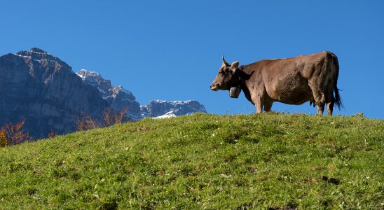 Canton of glarus switzerland landscape