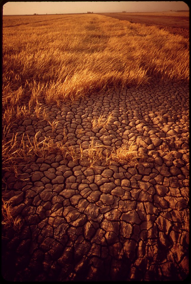 Cracked-earth--a-result-of-irrigation-and-intense-dry-heat-may-1972 7152566781 o