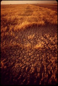 Cracked-earth--a-result-of-irrigation-and-intense-dry-heat-may-1972 7152566781 o