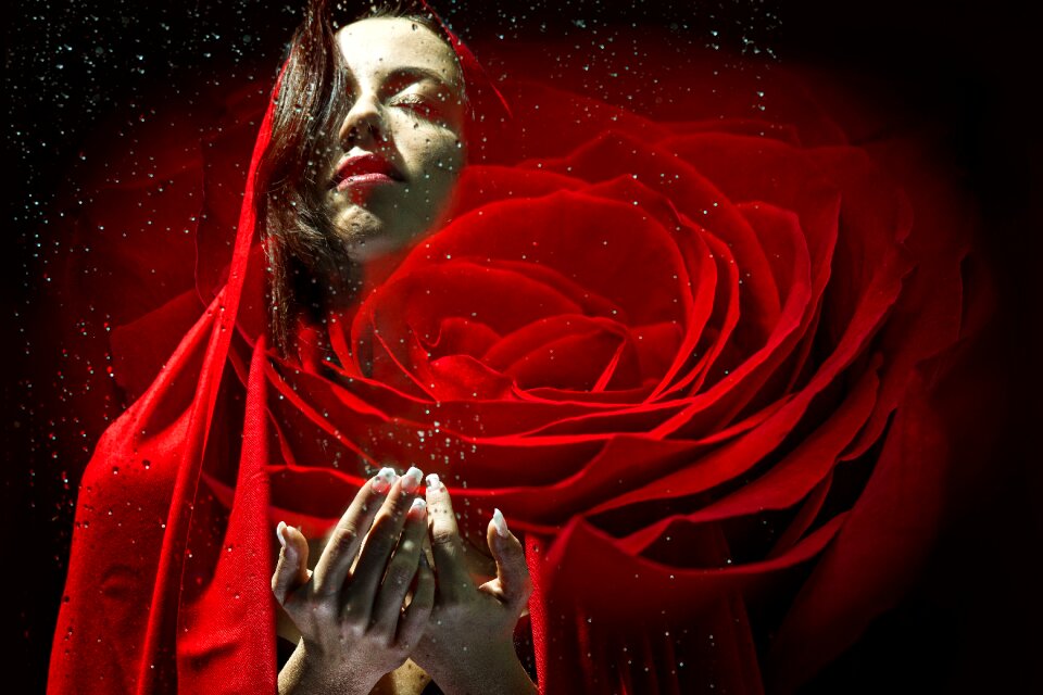 Rose portrait fantasy