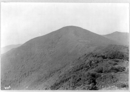 Craggy Dome. LCCN2016650642