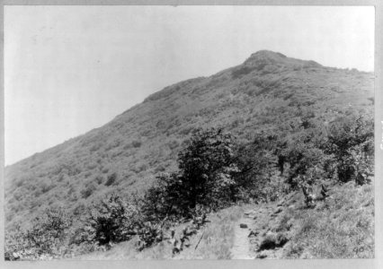 Craggy Pinnacle. LCCN2016650643