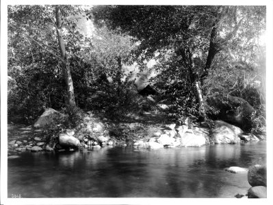 Creek on Tule River Indian Reservation, near Porterville, ca.1900 (CHS-3848) photo
