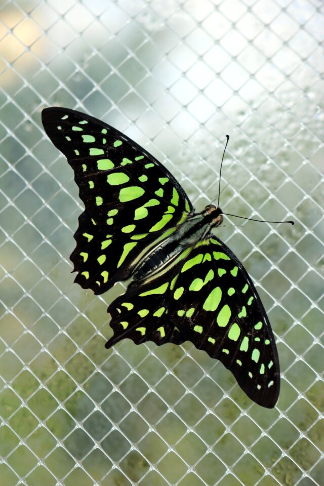 Bright glow colorful