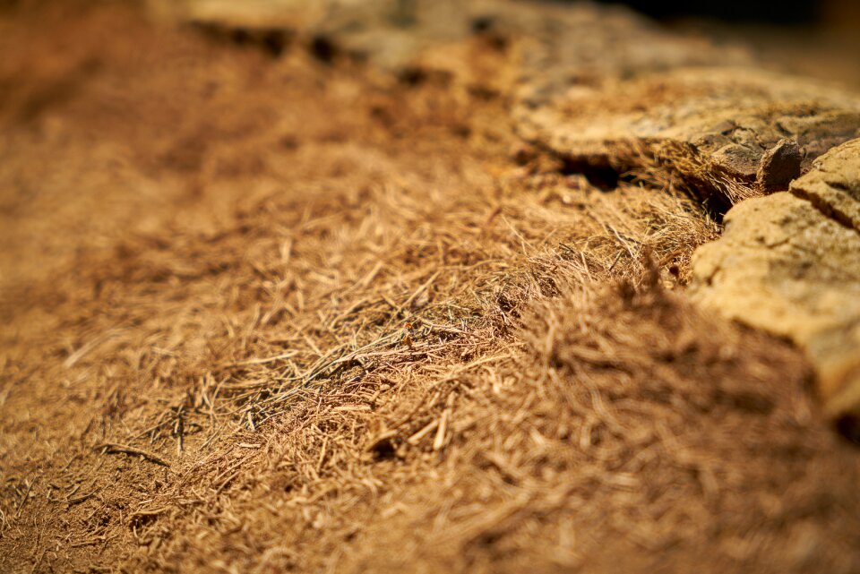 Texture pattern close