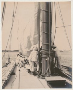 Crew handling sail on the yacht Reliance, winner of 1903 America's Cup LCCN2018645913