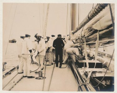 Crew handling sail on the yacht Reliance, winner of 1903 America's Cup LCCN2018645925