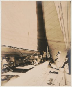 Crew hoisting sails on the yacht Reliance, winner of 1903 America's Cup LCCN90709774