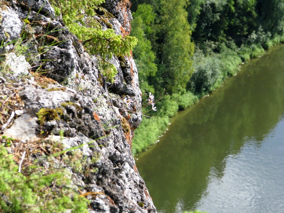 Forest landscape tourism
