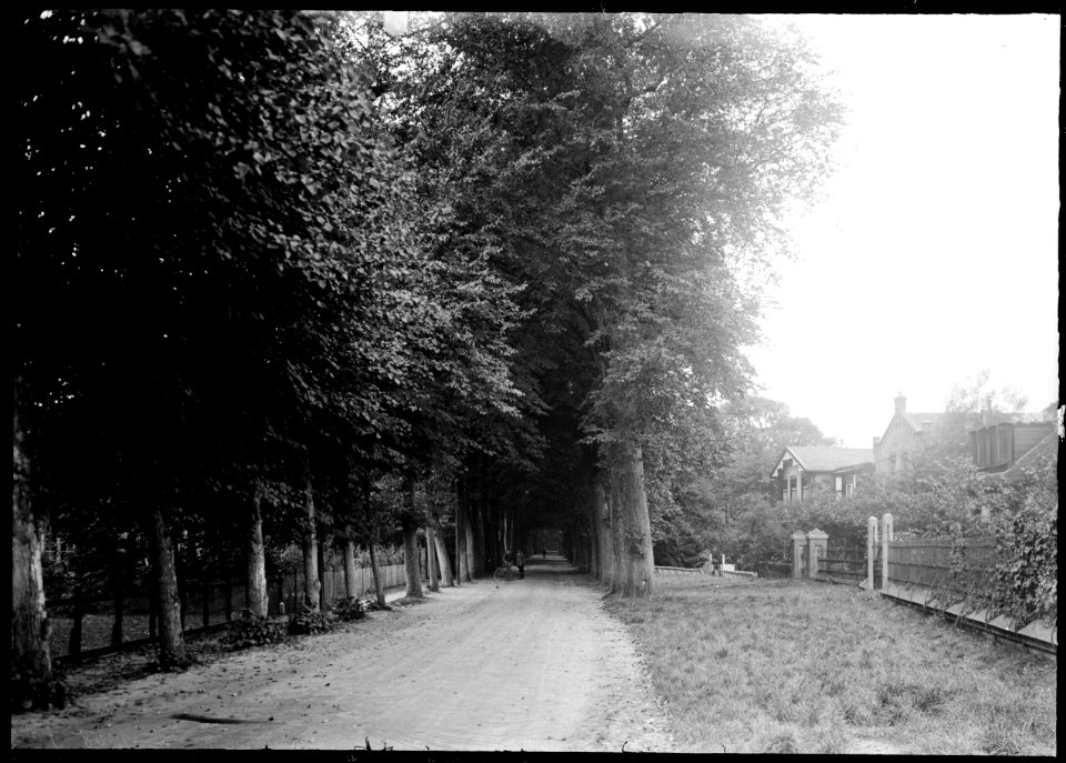 De Hoflaan gezien naar het westen - Regionaal Archief Alkmaar - FO1400045