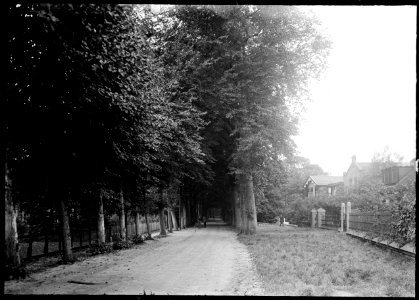 De Hoflaan gezien naar het westen - Regionaal Archief Alkmaar - FO1400045