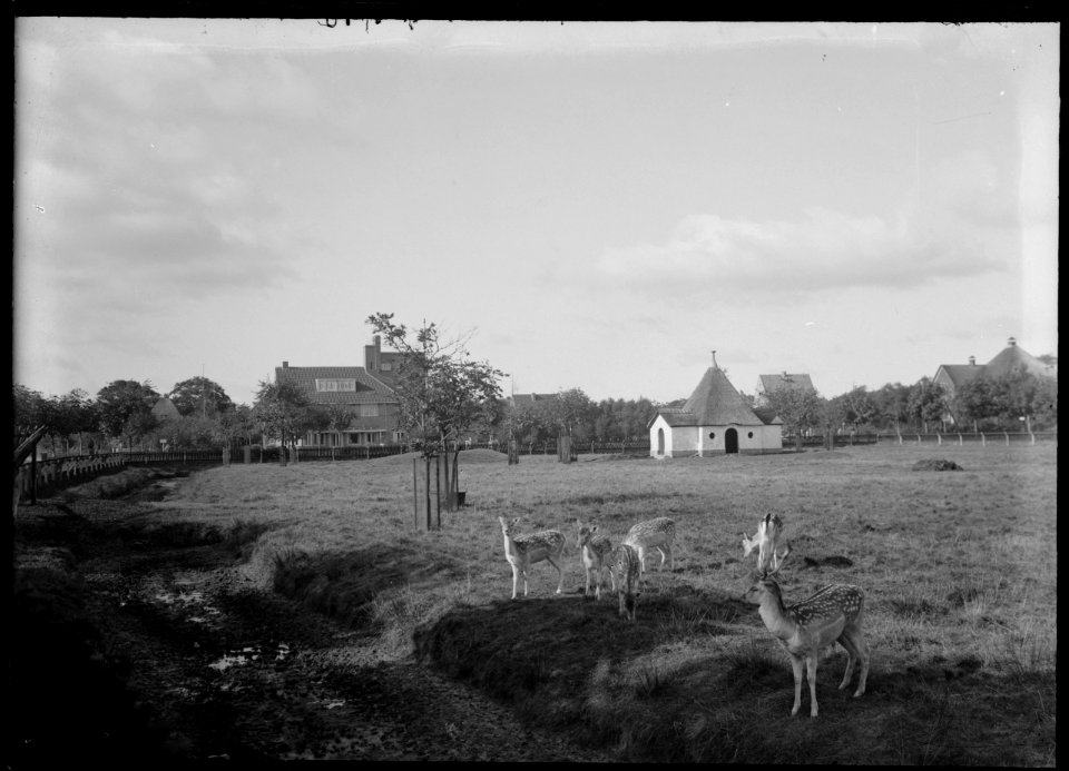 De Hertenkamp in westelijke richting, met in het verschiet Hotel Hertenkamp - Regionaal Archief Alkmaar - FO1400016