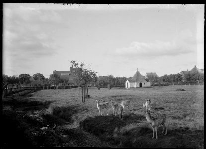 De Hertenkamp in westelijke richting, met in het verschiet Hotel Hertenkamp - Regionaal Archief Alkmaar - FO1400016
