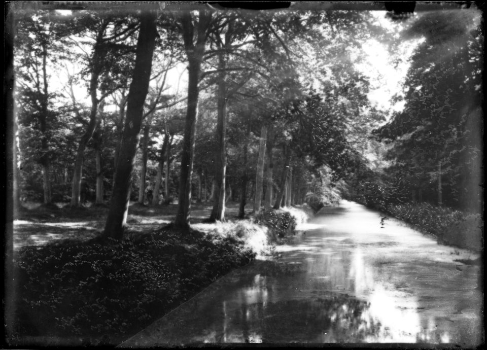 De Hofvijver langs de Mosselenbuurt, gezien naar het noorden - Regionaal Archief Alkmaar - FO1400050