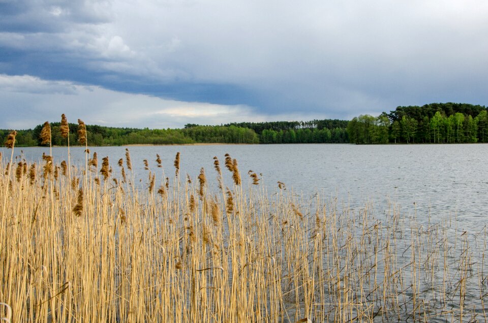 Green lake summer
