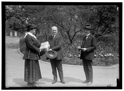 CROMLEIN, LILLIAN. RECEIVING SEED FROM TUMULTY. NATIONAL EMERGENCY WAR GARDEN COMM. LCCN2016867286
