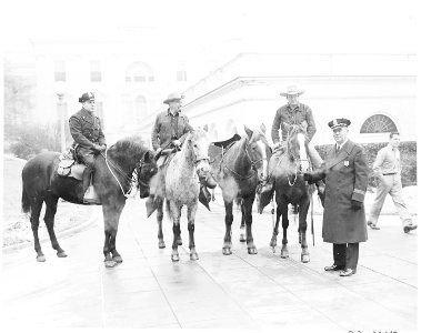 Cross country horseback riders Ned Kennedy and Cecil Carey from Tacoma, Washington, are greeted when they arrive at... - NARA - 199798