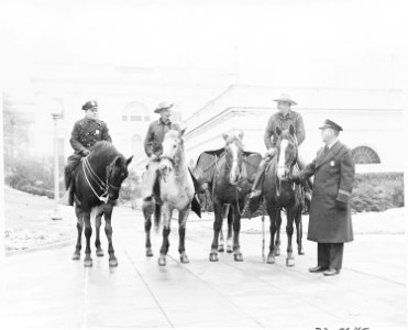 Cross country horseback riders Ned Kennedy and Cecil Cary, from Tacoma, Washington, are greeted when they arrive at... - NARA - 199803
