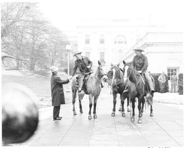 Cross country horseback riders Ned Kennedy and Cecil Cary of Tacoma, Washington are greeted by an unidentified man as... - NARA - 199799