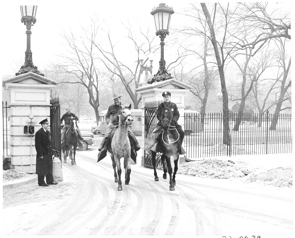 Cross country horseback riders arrive at the White House from Tacoma, Washington and are greeted by Officer Davis (on... - NARA - 199796