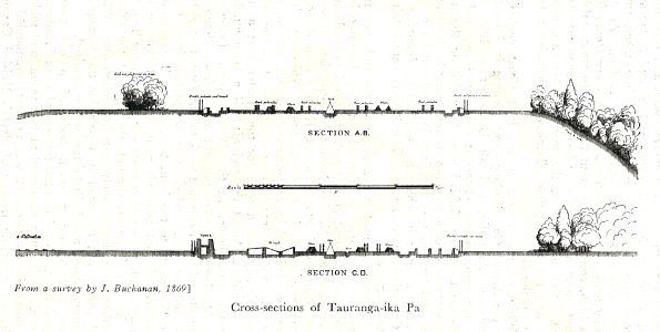 Cross section of tauranga ika pa