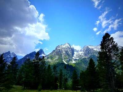 Wood snow tetons photo