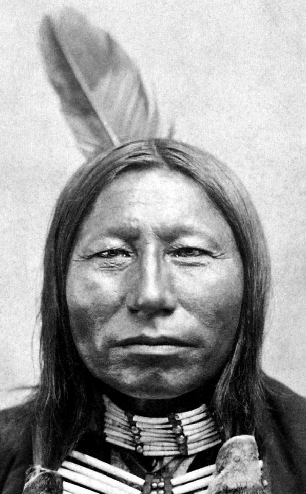 Crow King. With Gaul, a fighting chief of the Sioux in the Custer fight (From L. D. Greene Album). - NARA - 533093restoredh (cropped)