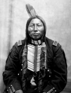 Crow King. With Gaul, a fighting chief of the Sioux in the Custer fight (From L. D. Greene Album). - NARA - 533093restoredh