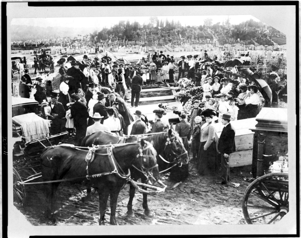 Crowd and horse-drawn hearses at mass burial in cemetery, North Collingwood, Ohio LCCN97506431