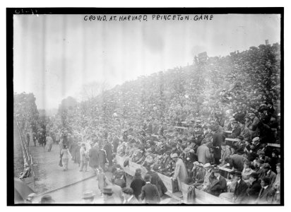 Crowd at Harvard-Princeton game LCCN2014694679