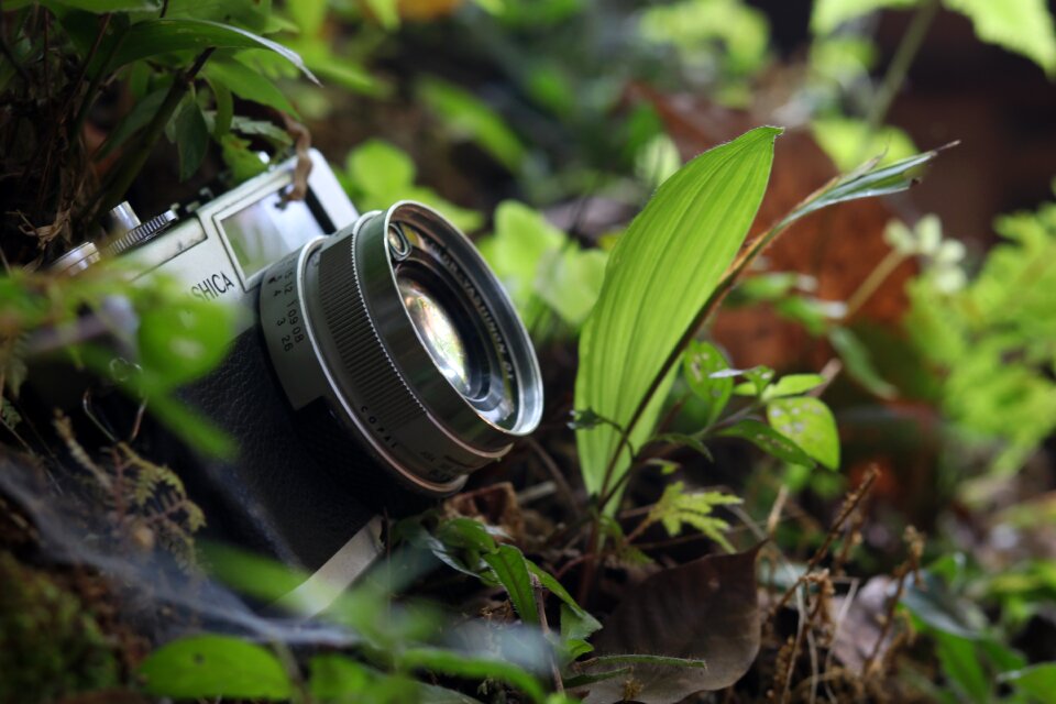 Yashica the camera nature the third eye