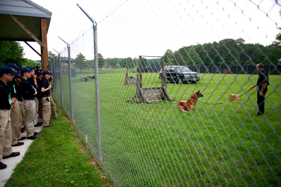 Crowd of law enforcement explorers watch a dog