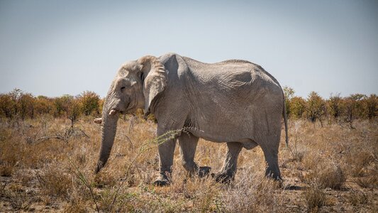 Landscape travel africa photo