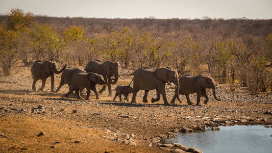 Landscape travel africa photo